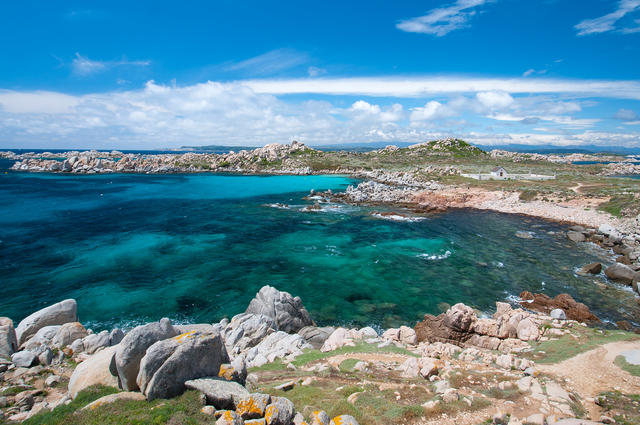 Îles Lavezzi  Îles Lavezzi